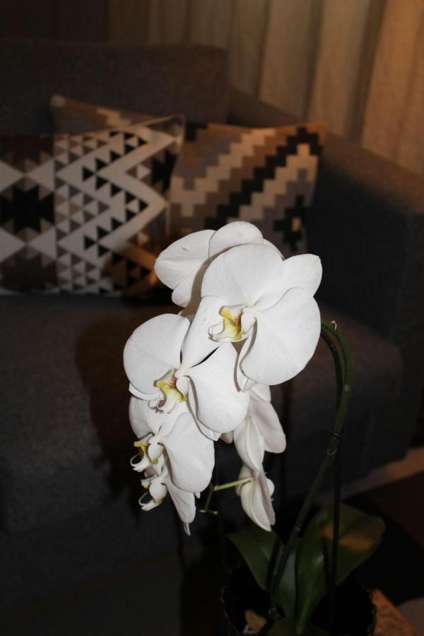 Sound Of Music World Appartement Salzburg Zewnętrze zdjęcie